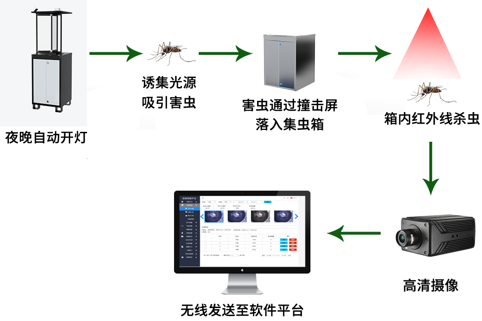 太陽能蟲情測報燈